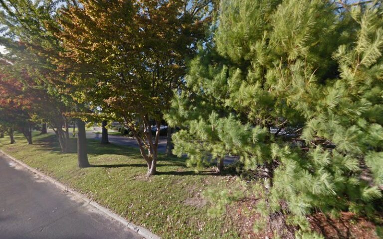 292379 life property insurance law offices of heather d. lee 768x480