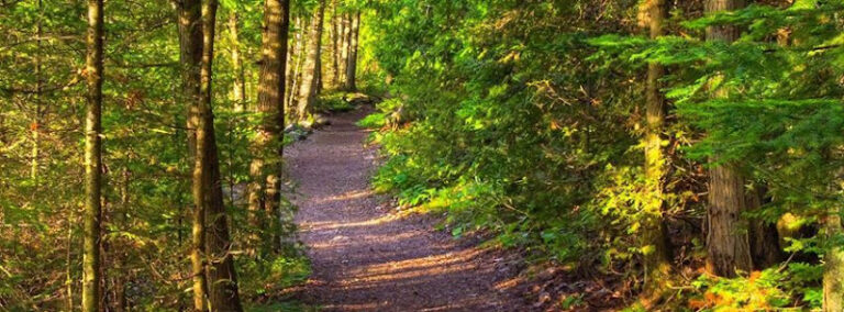 292441 lifepath law apc 768x284