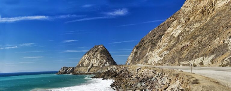 292454 lifetime legal 768x303