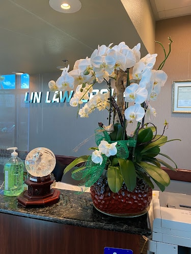 292773 lin law group