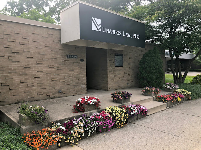 292783 linardos law plc