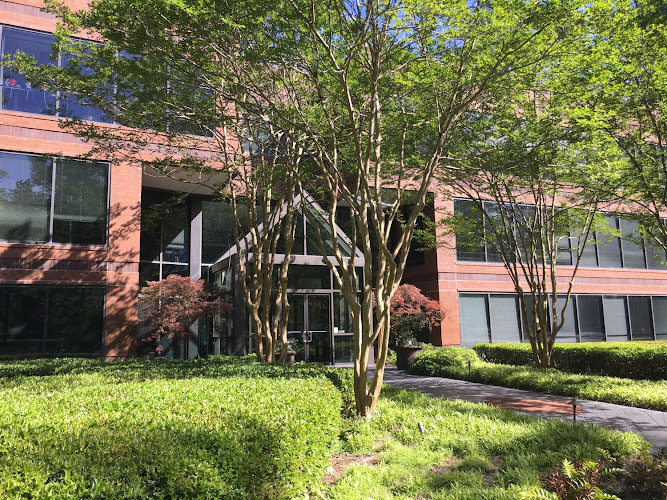 293193 lindsey lacy pc