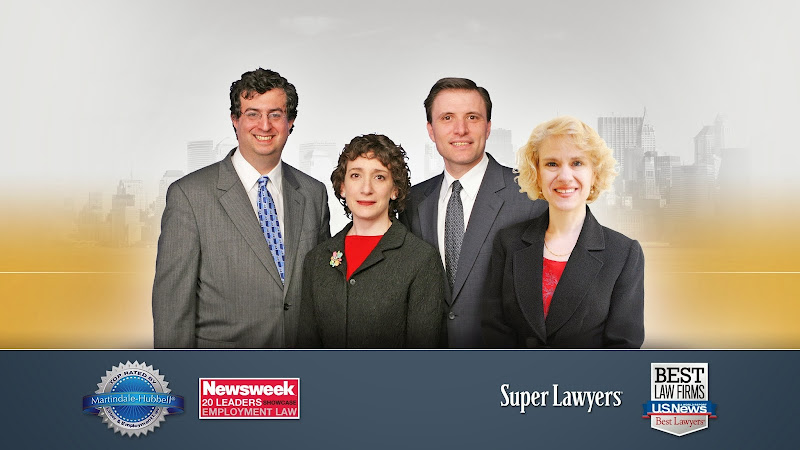 293490 lipman plesur llp