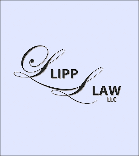 293514 lipp law llc