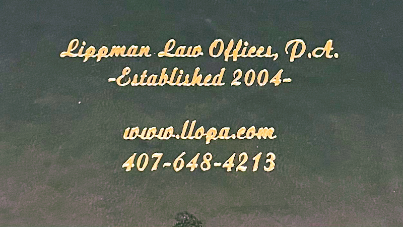 293538 lippman law offices