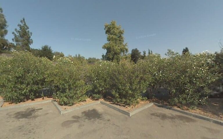 293704 lisa elliott law offices 768x480