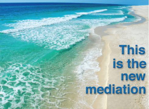 293873 lisa s minshew