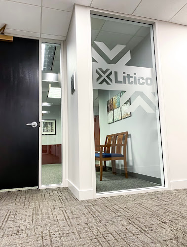 294019 litico law group