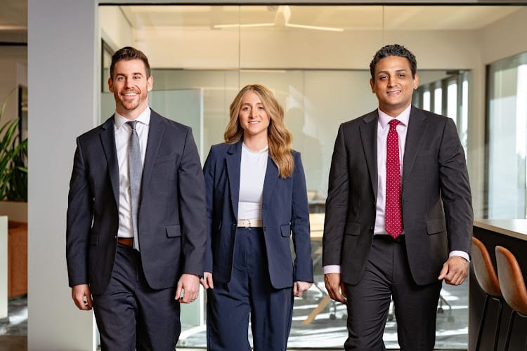 294313 litwak law group