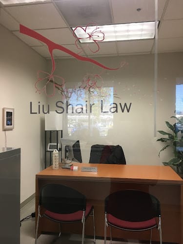 294343 liu shair law