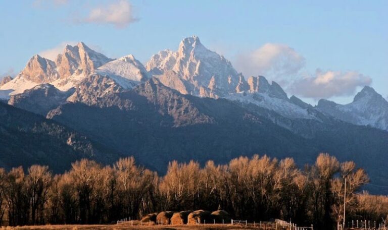 297330 lubing gregory rectanus 768x456