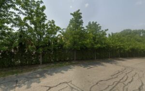Feature image
