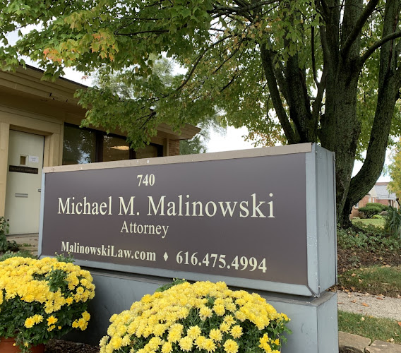 300875 malinowski law plc