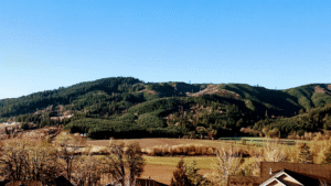 Feature image