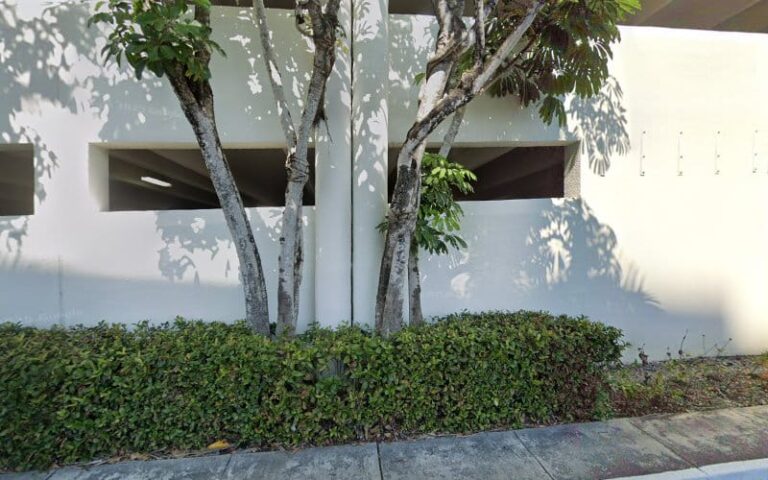 303454 marjorie e. wolasky p.a 768x480