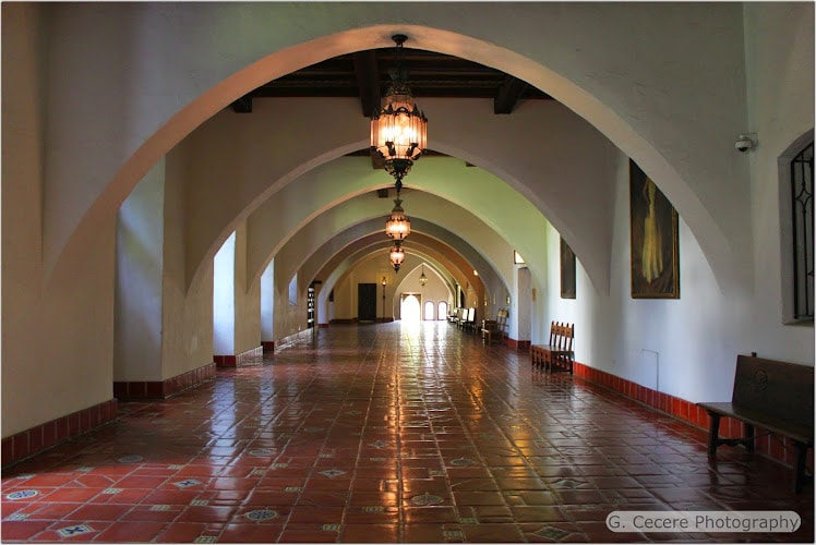 305090 marla a. pleyte attorney at law