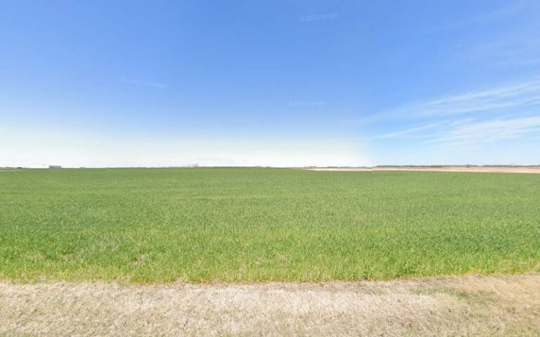 305833 martin patti zeka 768x480