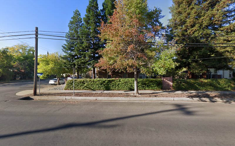306162 martin law firm