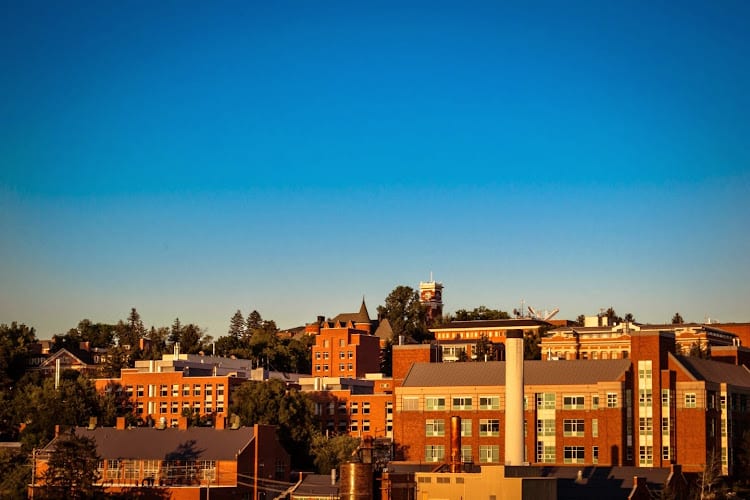 306619 martonick law