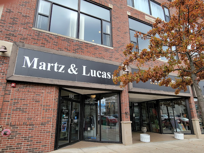 306653 martz lucas llc