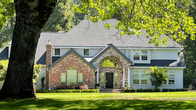 307061 maryanne murphy 768x432