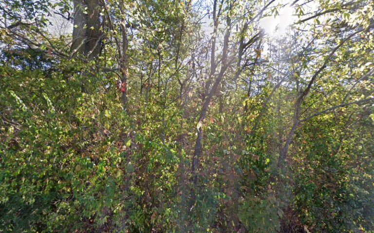 307727 mathews carolyn e 768x480