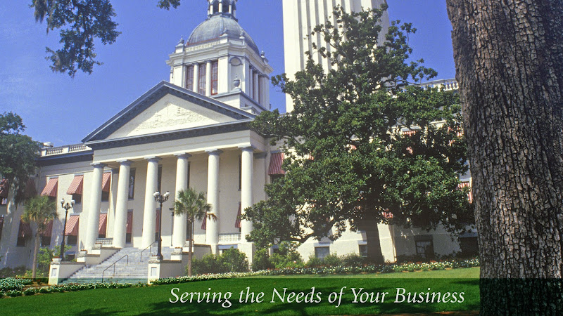 307737 mathews law firm p.a