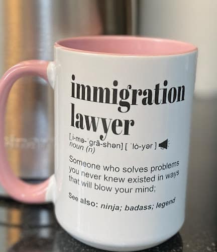 308943 maura kelly immigration law