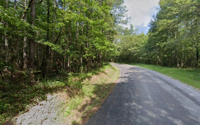 310121 mc cullough pat h 768x480