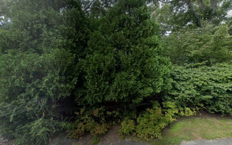 311051 mcauliffe law pllc 768x480