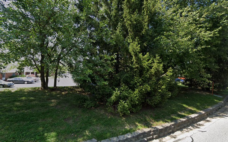 311293 mccarthy allen