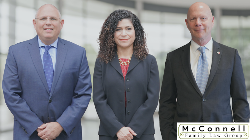 311632 mcconnell family law group