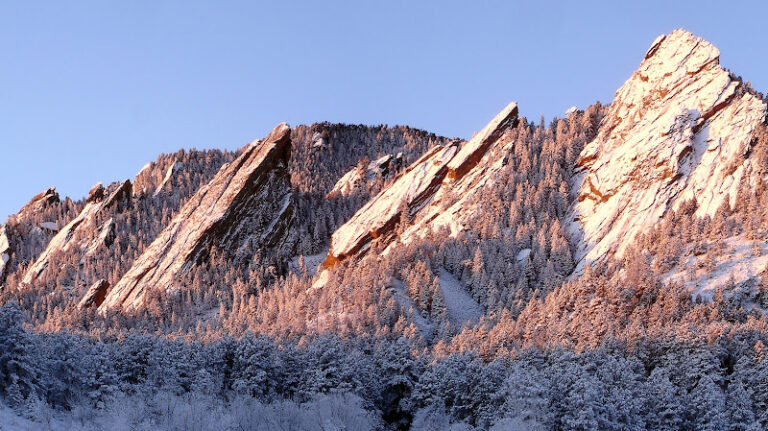 311715 mccormick kennedy 768x431