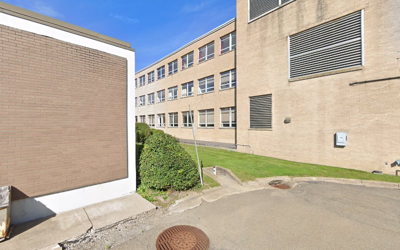 313132 mckertich robert h