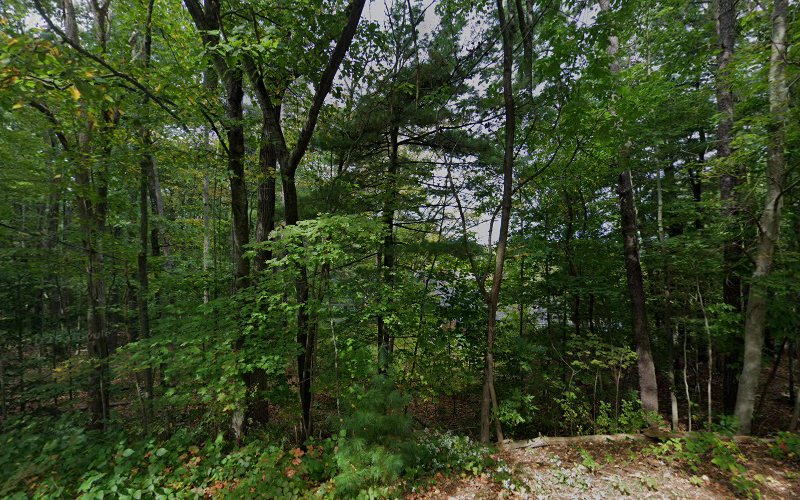 313816 mcneill associates llc