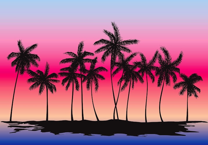 313911 mcrae law firm