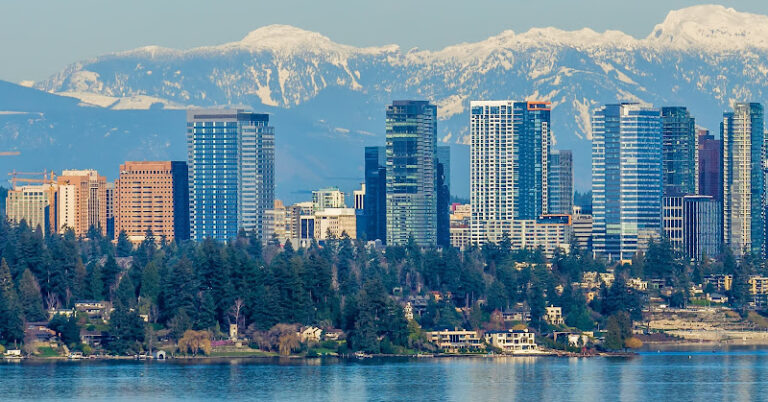 314075 mdk law 768x402