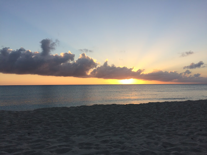 314346 mediation services of southwest michigan