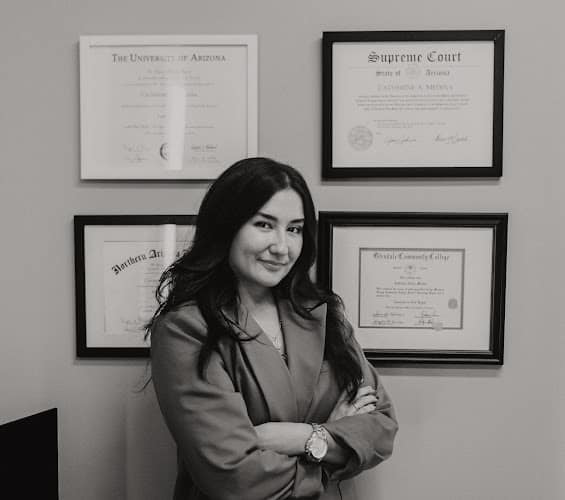 314383 medina family law associates p.c