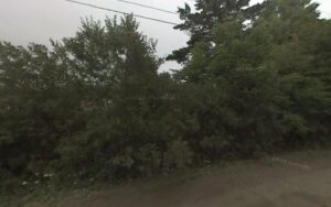 Feature image