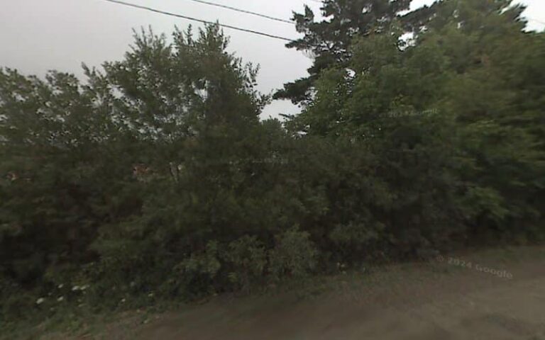 314888 melanie frazek attorney counselor at law 768x480