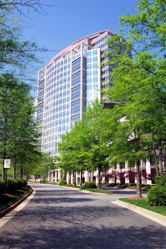 315502 mendenfreiman llp