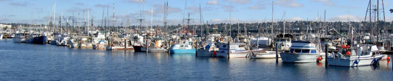 316030 merriam law 768x159