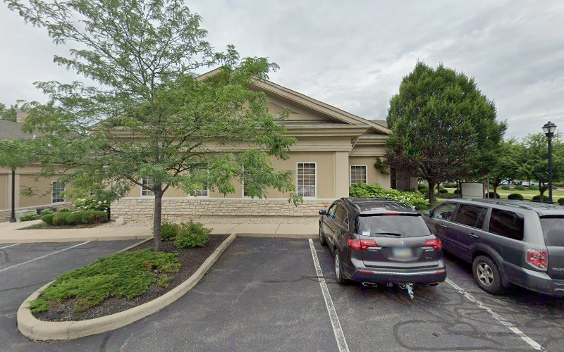 316207 mesaros law office