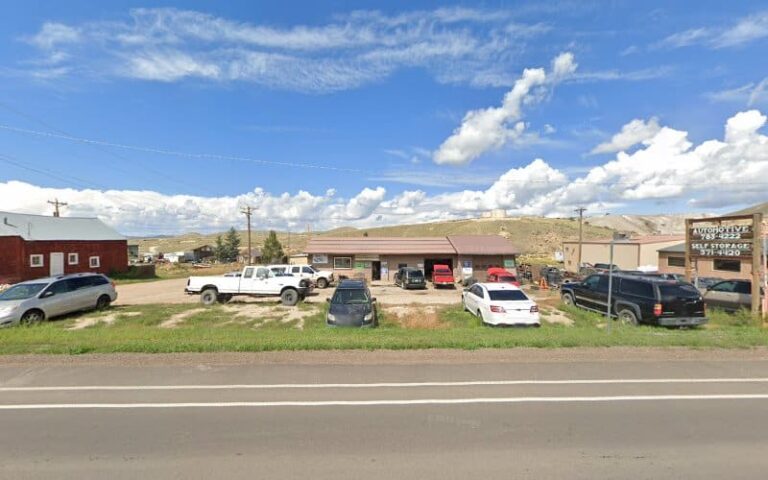 319885 michaelson peter f 768x480