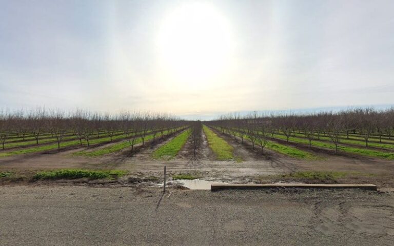 320195 michiaels attorney services 768x480