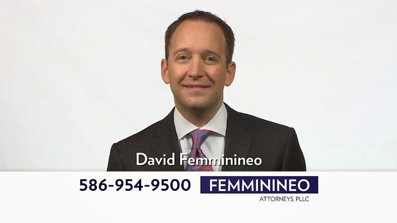320282 michigan lawyer help