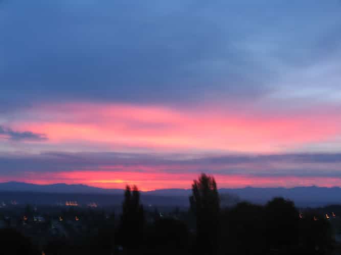 320775 mike lind law office