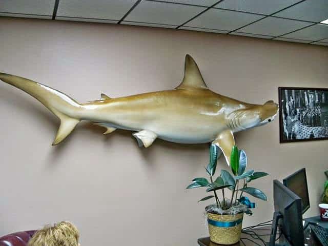 321669 miller law office