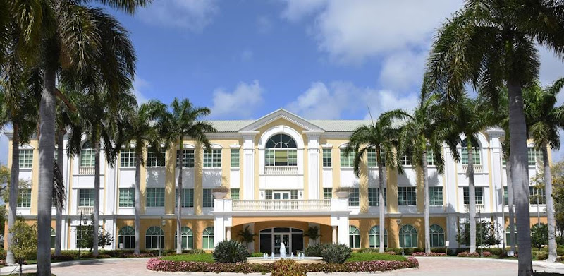322375 mindy stein p.a